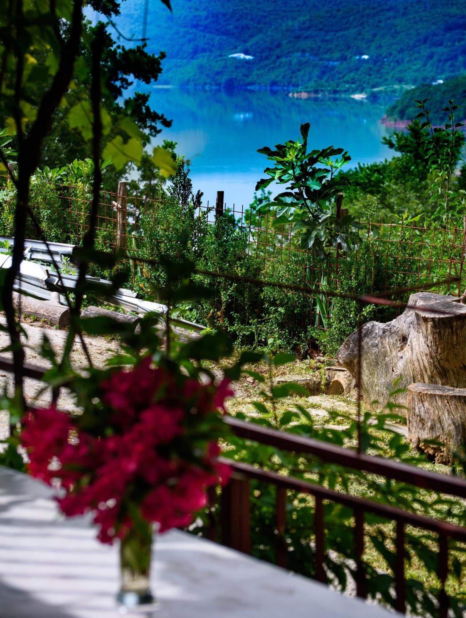 Apartments Cvitini Dvori Garjak Vrlika Εξωτερικό φωτογραφία